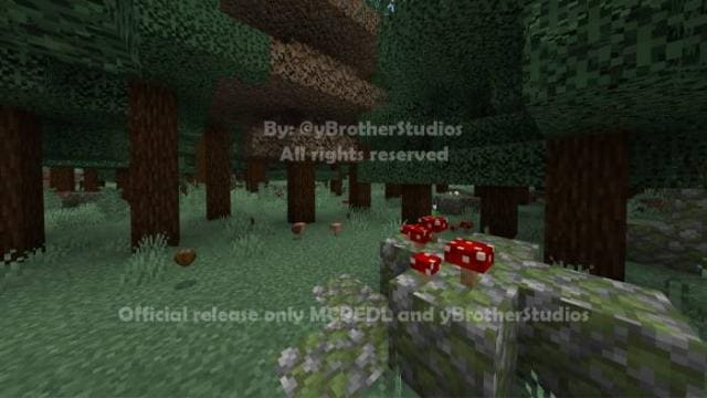 Биом хвойного леса