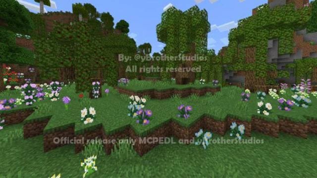 Весенний сад