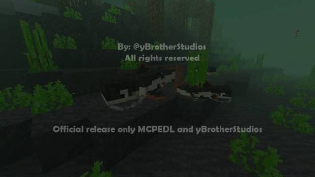 Сом плавает в море