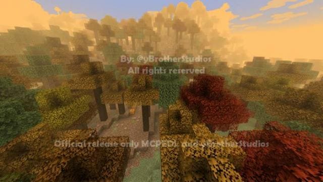 Осенняя роща на закате