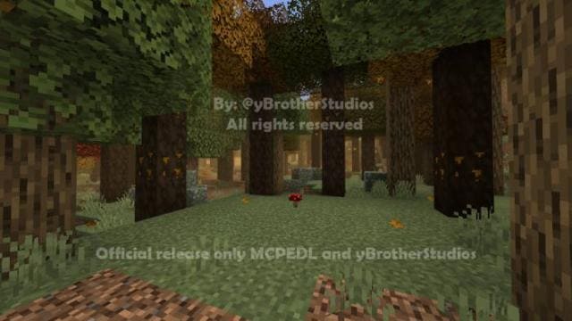 Деревья в осенней роще