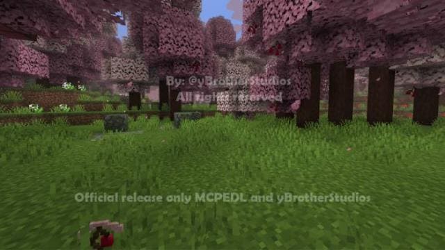 Цветы вишневой рощи