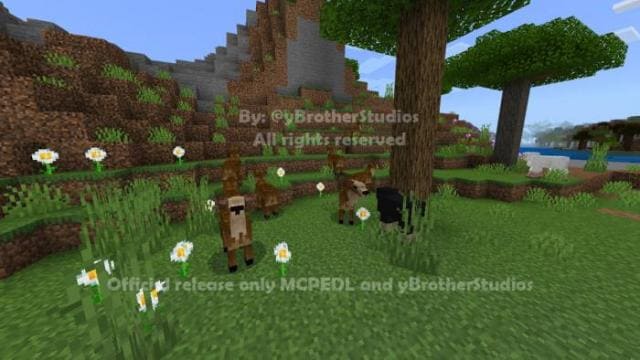 Олени на лугу