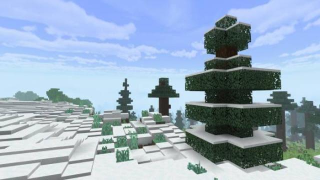 Слои снега на ели