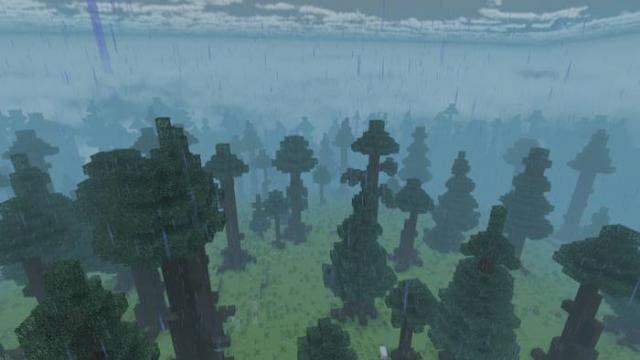 Плотный дождь в лесу