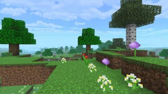 Цветы на поле