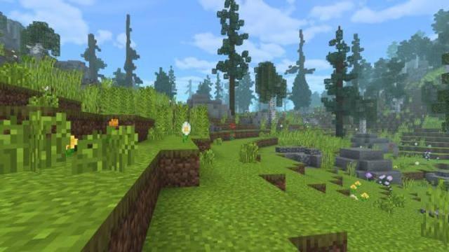 Лес с большой растительностью