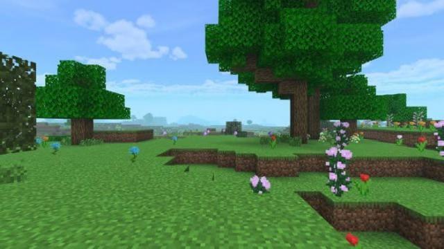 Деревья рядом с цветочками