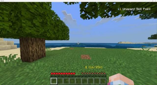 Игрок перед океаном