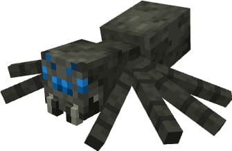 Голубоглазый паук