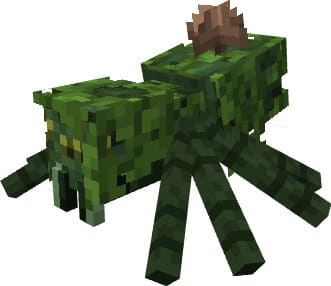 Паук джунглей с грибом на голове