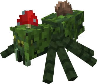 Паук джунглей с грибами на теле