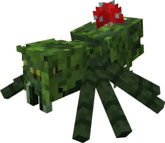 Паук джунглей с красным грибом