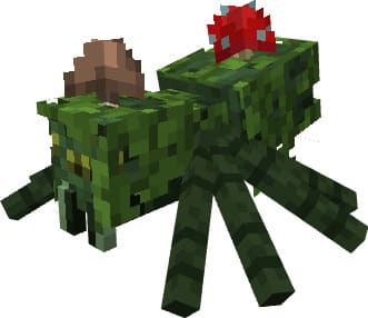 Паук джунглей с грибами