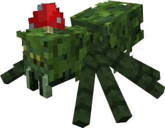 Паук джунглей с грибом