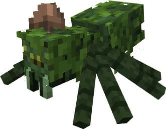 Паук джунглей с коричневым грибом