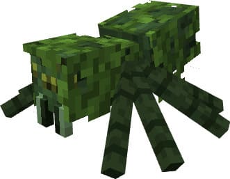 Паук джунглей