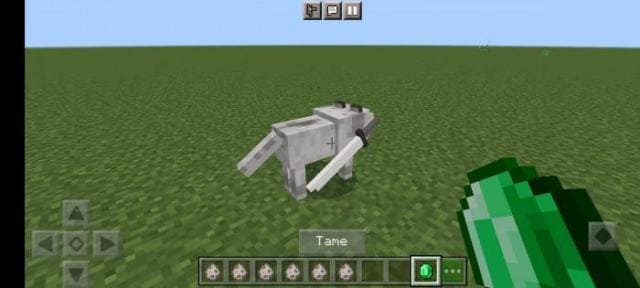 Приручение волка изумрудом