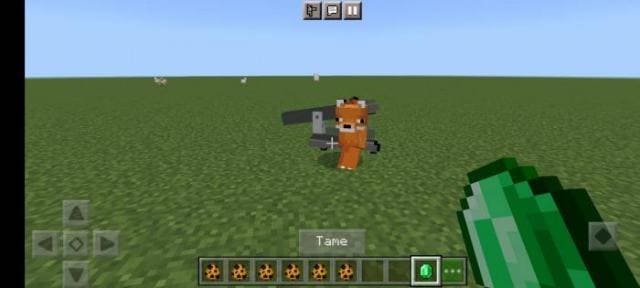 Приручение лисы изумрудом