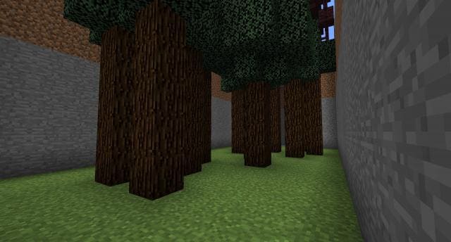 Загон для животных вид внутри