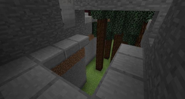 Загон для животных вид внутри 3