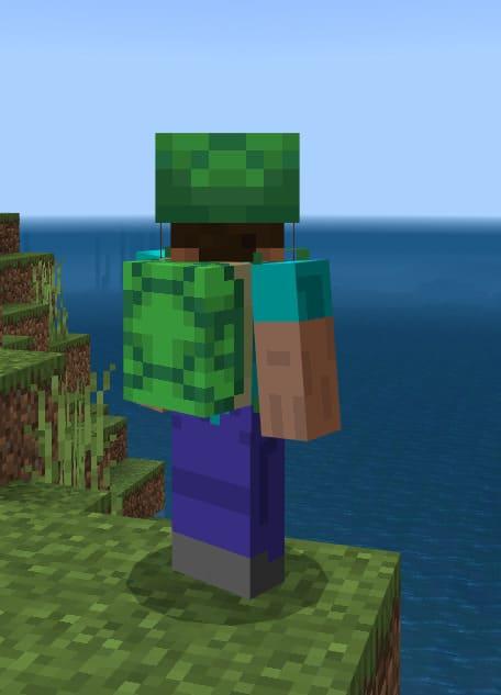 Черепаший рюкзак