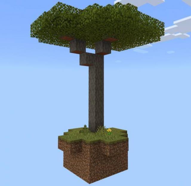 Дерево саванны в небе