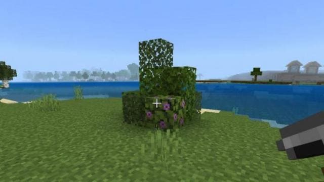 Небольшие кусты