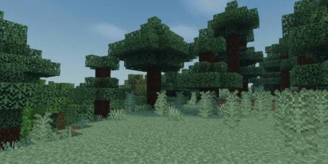 Трава в темнодубовом лесу