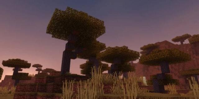 Деревья в саванне