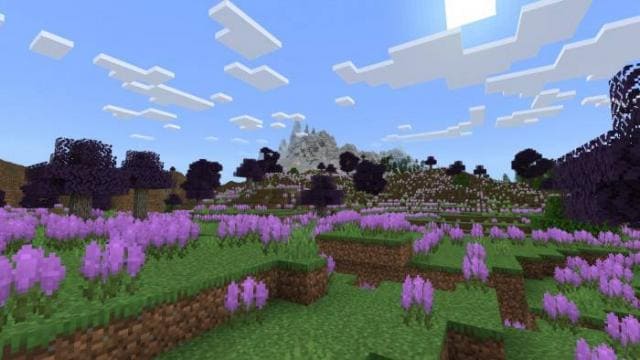 Лавандовые равнины