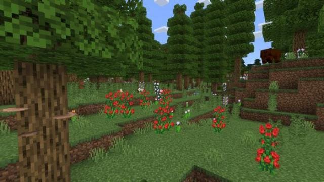 Лиственный лес