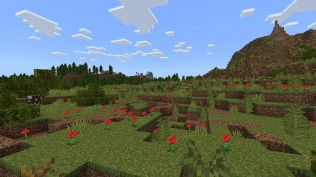 Кустарники