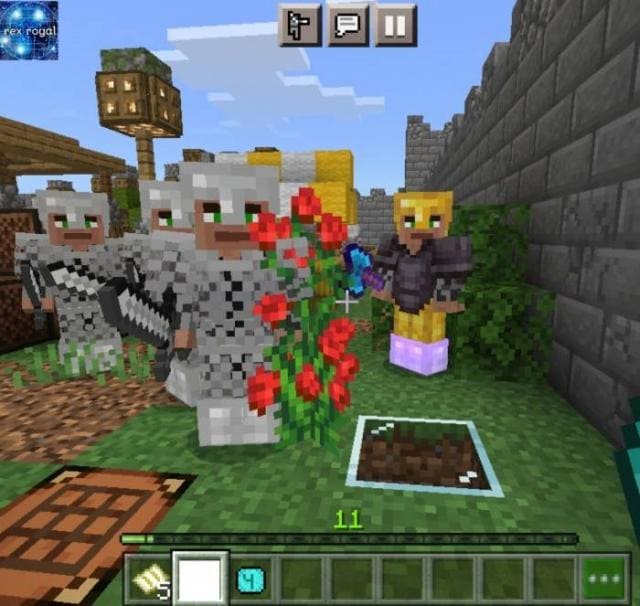 Сельчане выращивают растения