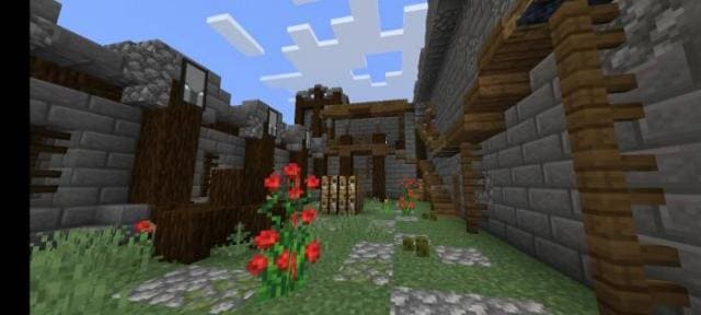 Цветы у крепости