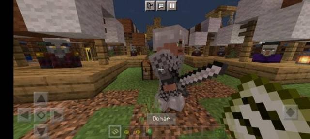 Приручение разбойника