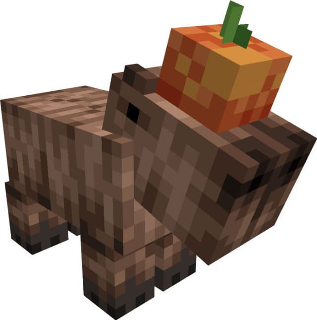 Капибара с тыквой