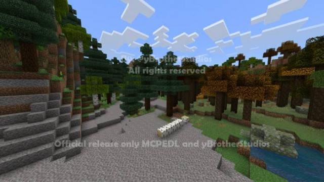 Поваленная береза в крытом лесу