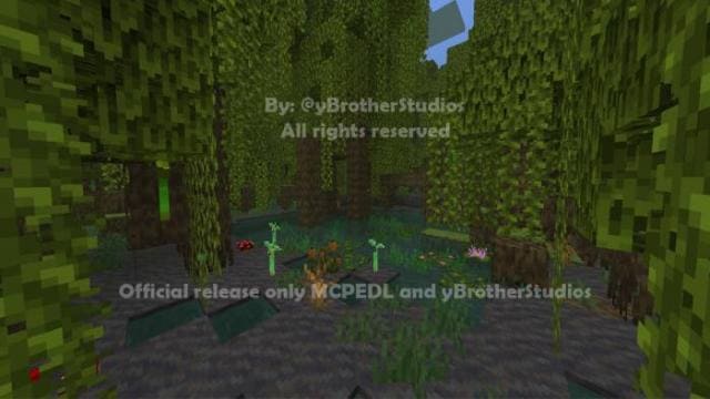 Растения мангровых зарослей