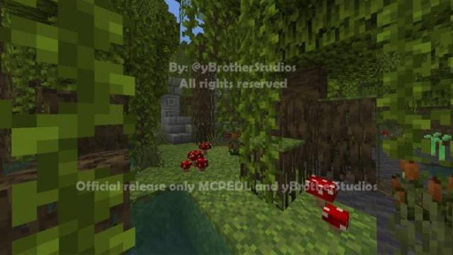 Грибы в мангровых зарослях