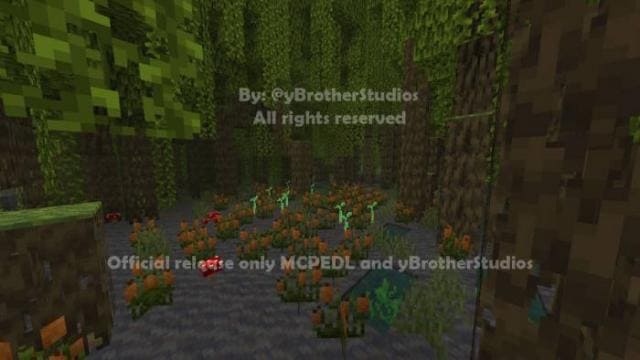 Мангровые заросли