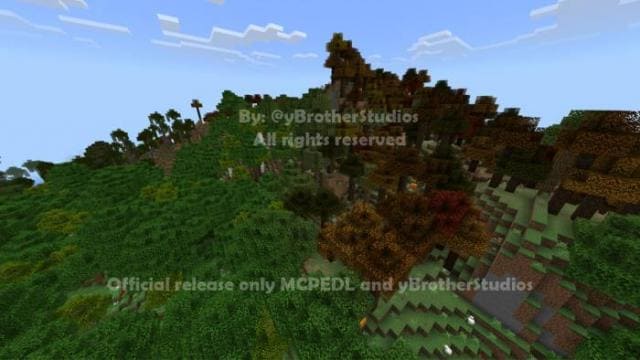 Желтый лес рядом с зеленым