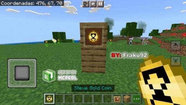 Монета Стива