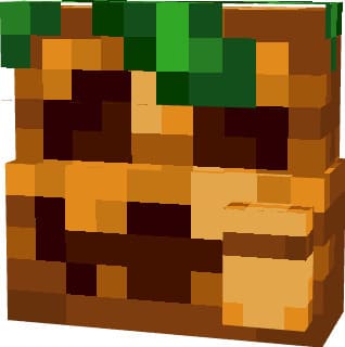 Тыква-сумка