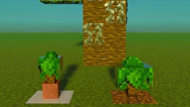 Саженцы джунглей