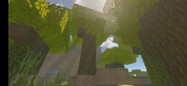 Освещение в лесу