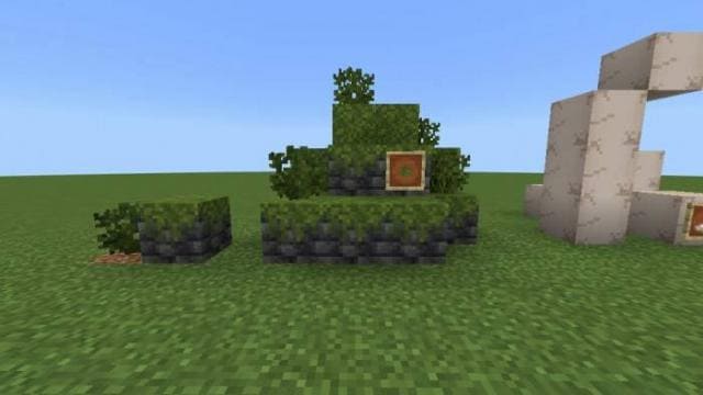 Замшелый глубинный сланец