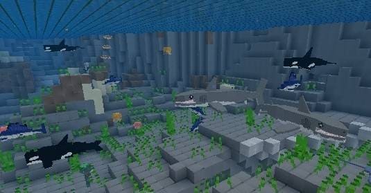 Хищные рыбы в воде