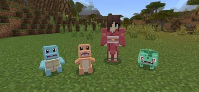 Игрок с покемонами