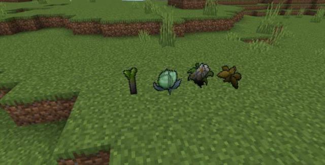 Выпавшие растения